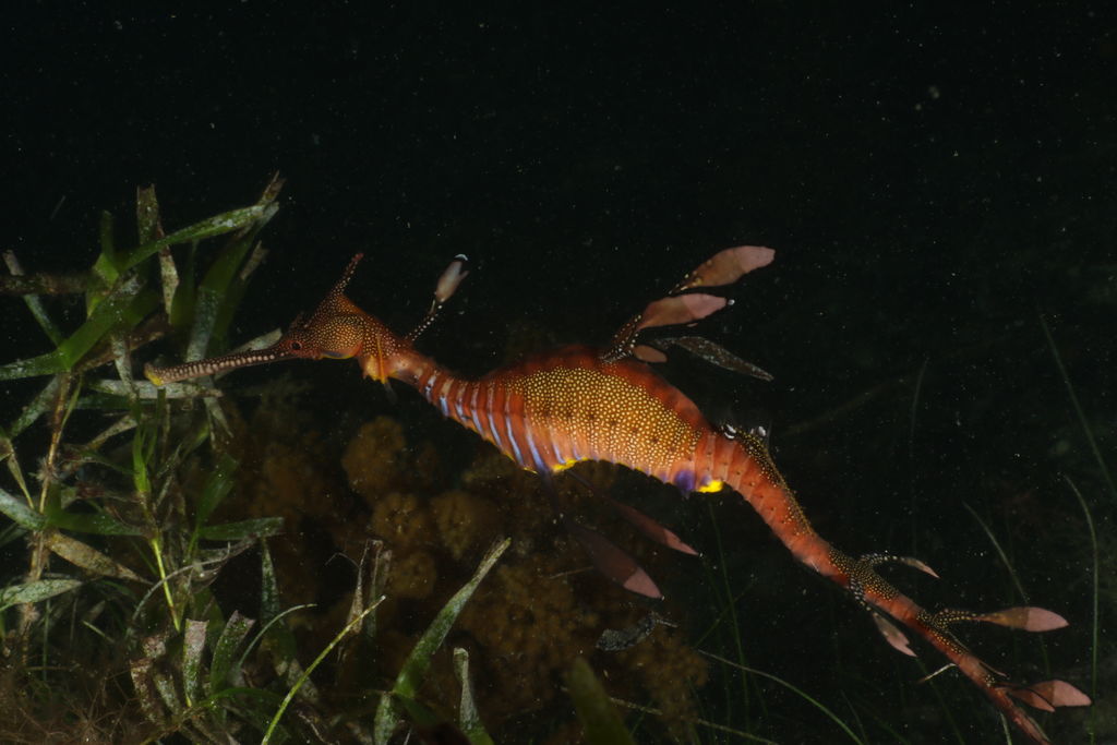 958c6928-19d9-4805-84e7-5985b81d1f7d