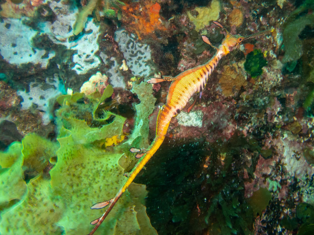 7145140c-acfe-4c24-98b1-56b2a0ca77cd