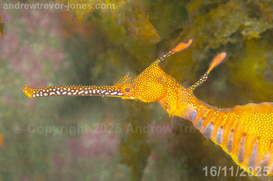 3b8f704a-c4df-4cd9-bbec-6ca92ea2f8c6