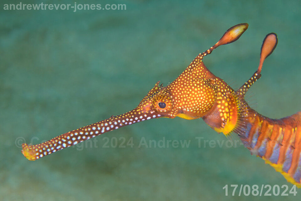 69c84b32-9792-45e3-85d8-979987cb27c5