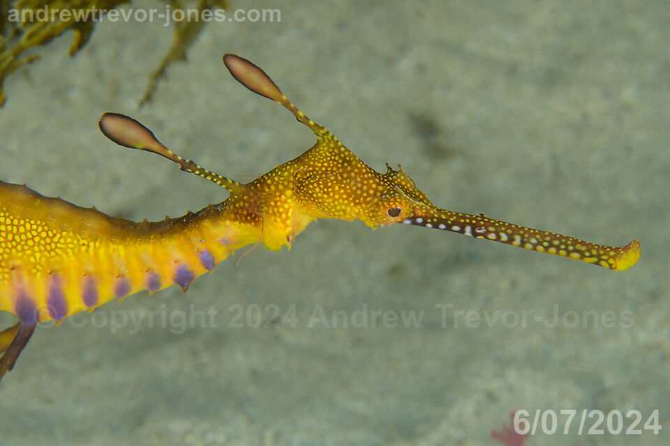 3d62e8ae-88b8-435f-b14d-5bc86b3262c6