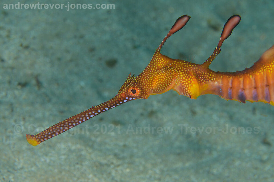 669125cb-42e5-4935-90f4-45e3039ec8a7