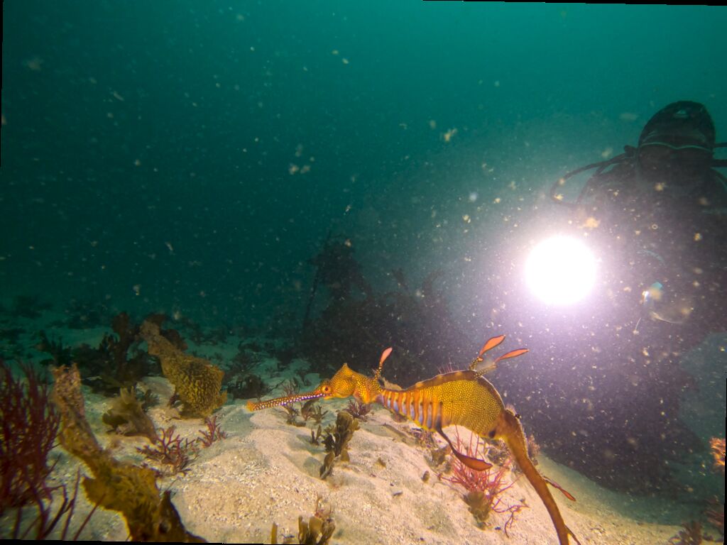 52790c8c-9764-4f24-a327-228e74837ec3