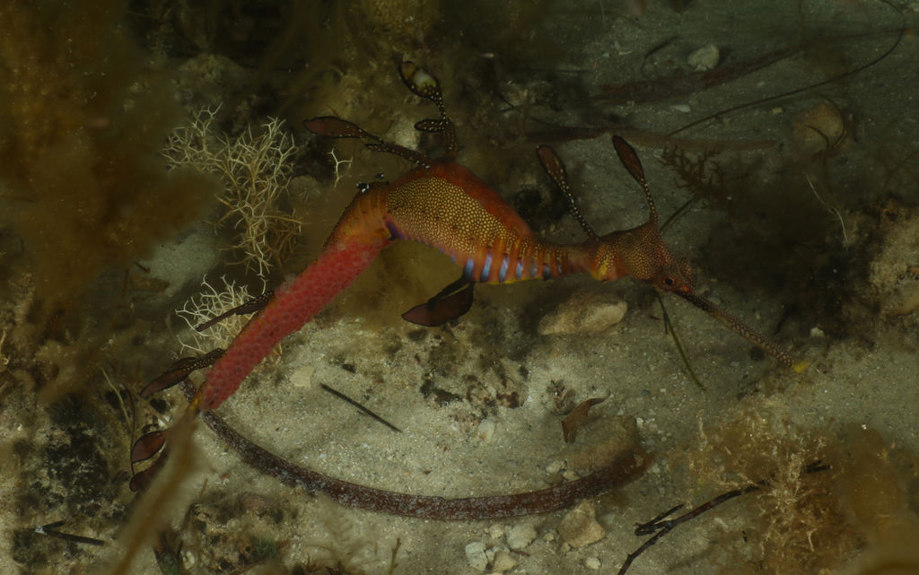 9270d278-91d8-4f94-b8ab-b6cb10c1a901