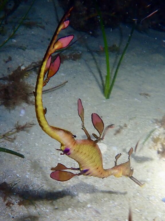 c9dc75c8-1b9d-4a15-8022-b19dba5b9984