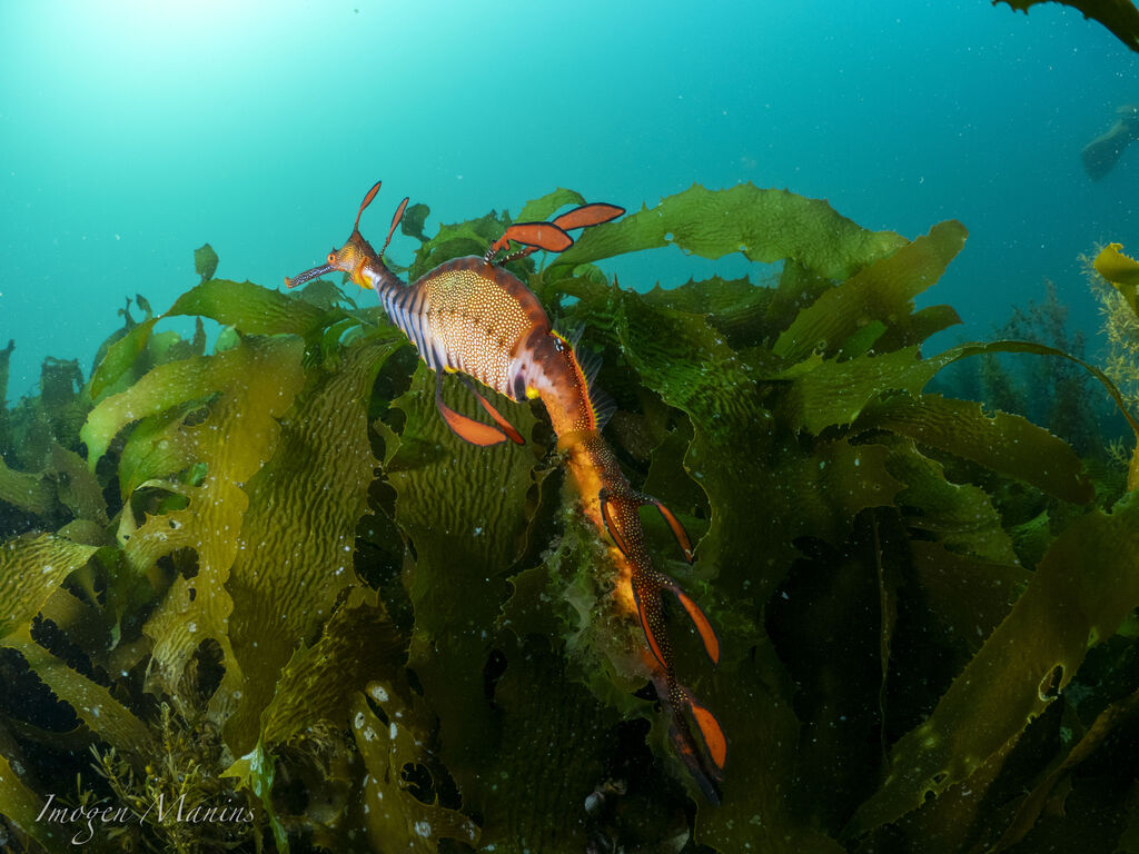 7457f1e8-c458-4125-b5f6-0eab5f8f7e28