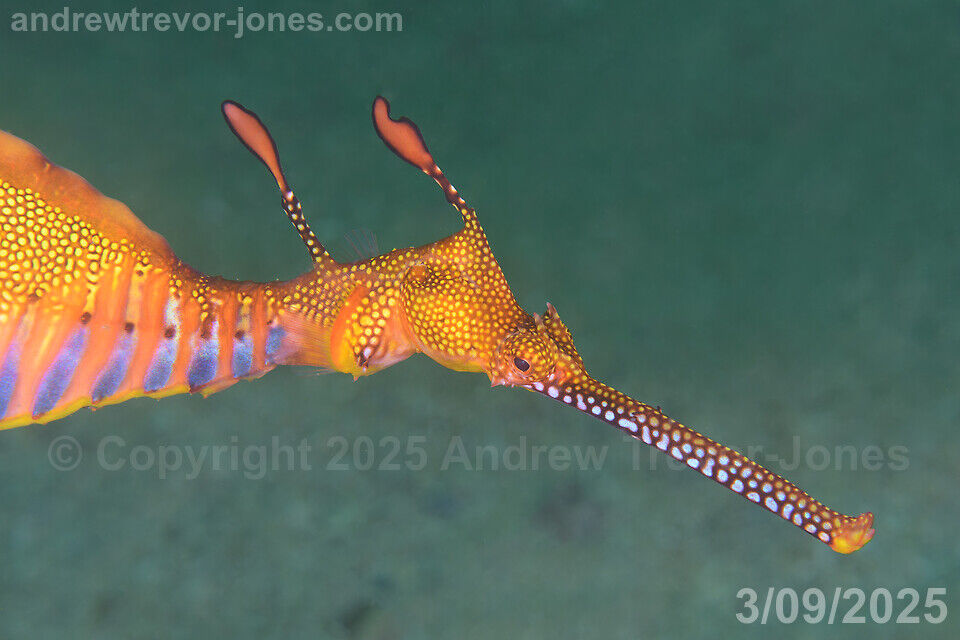 3b8f704a-c4df-4cd9-bbec-6ca92ea2f8c6