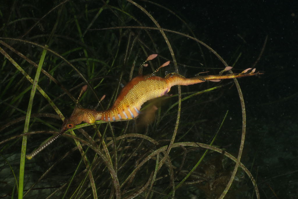 ddcd9603-6e12-4352-af1e-023cda7e0515