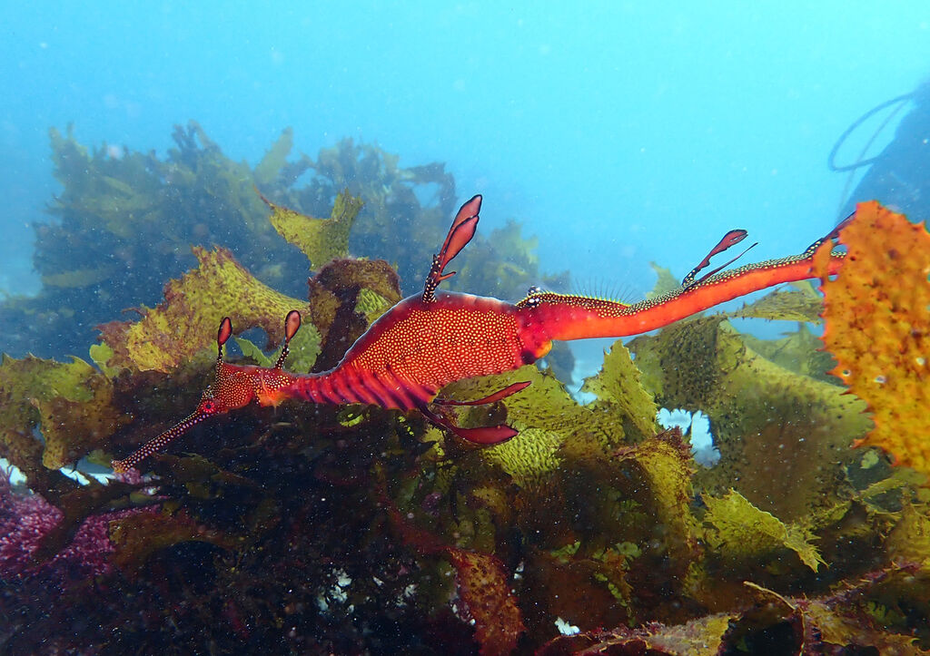 2d9f43b8-d523-4925-941c-b21a2ef3f51b