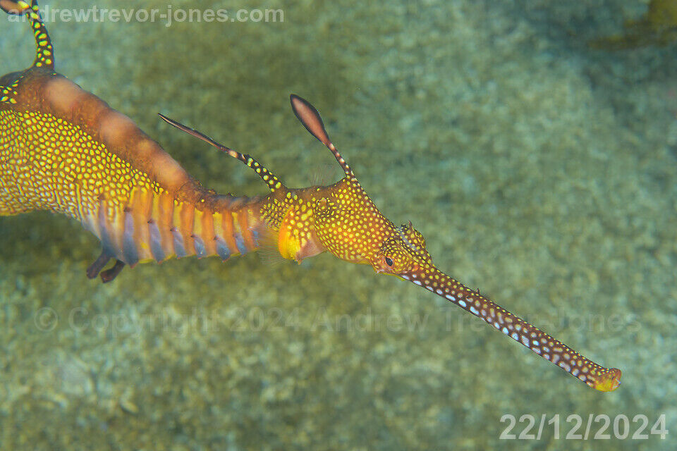 fe91530e-96c2-43e1-be18-b5fae1db7e6b