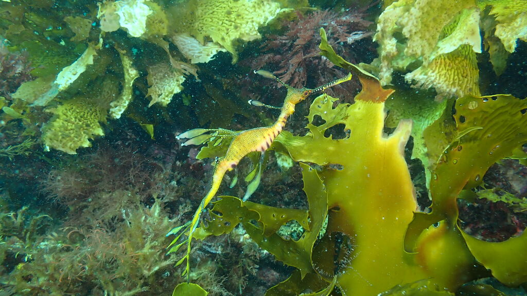 379282e7-d253-4b1d-93d6-58a5d7cb6d00