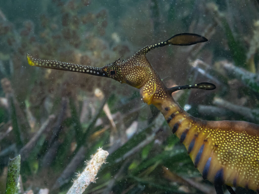 68a25676-6e63-4247-81df-1dac6dd7a563