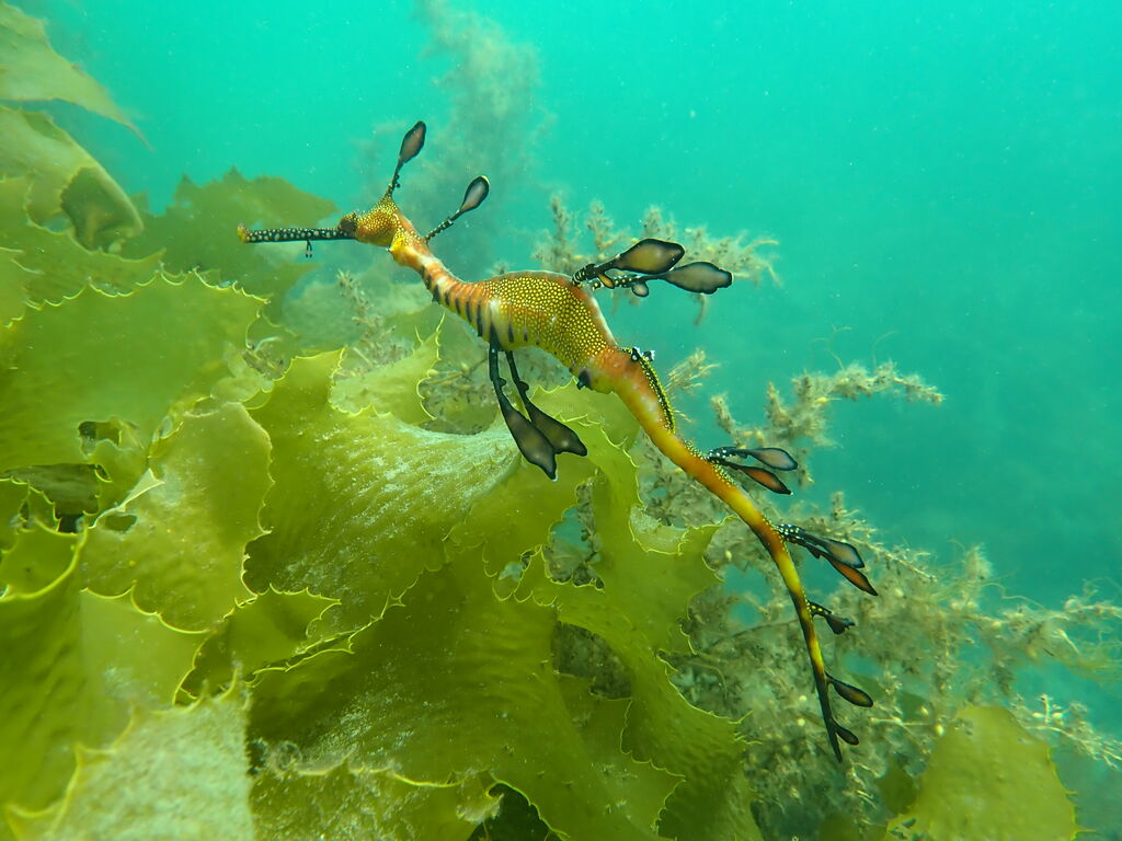 692cd481-01bd-47c4-abe5-c232da2b0964