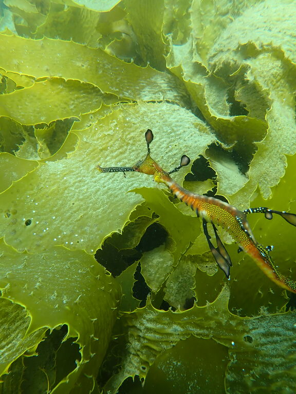 692cd481-01bd-47c4-abe5-c232da2b0964