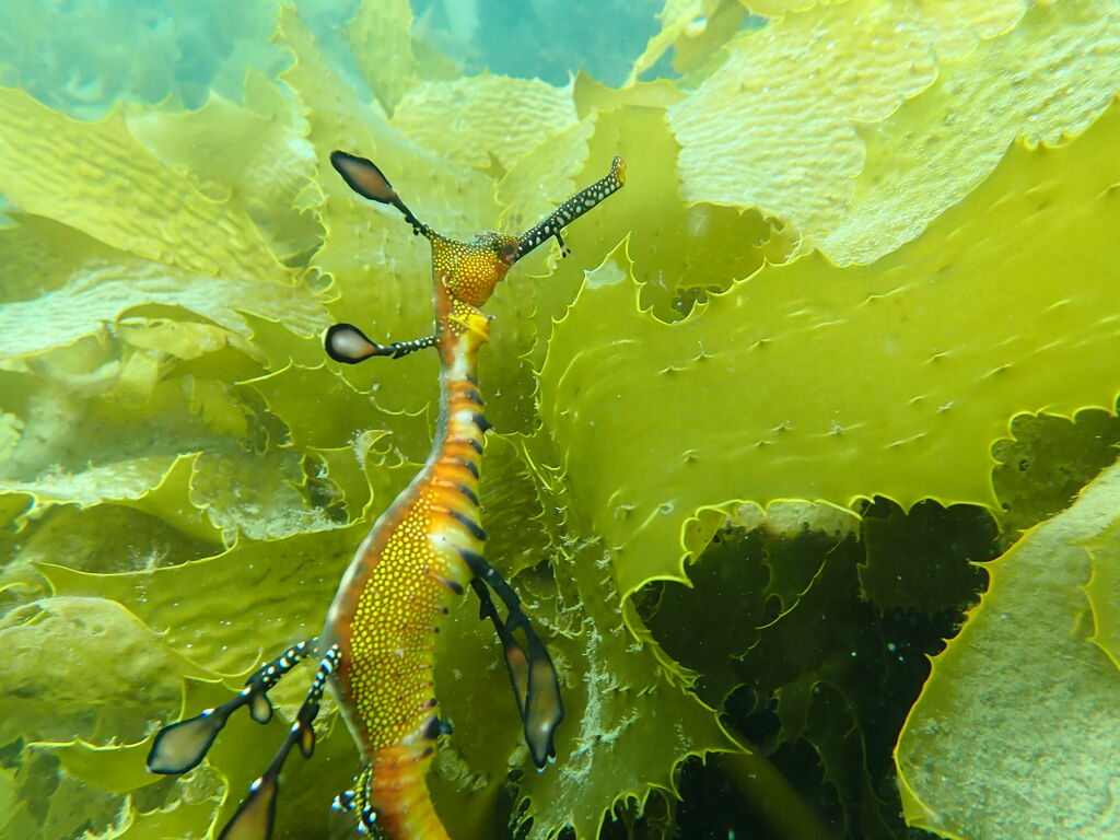 692cd481-01bd-47c4-abe5-c232da2b0964