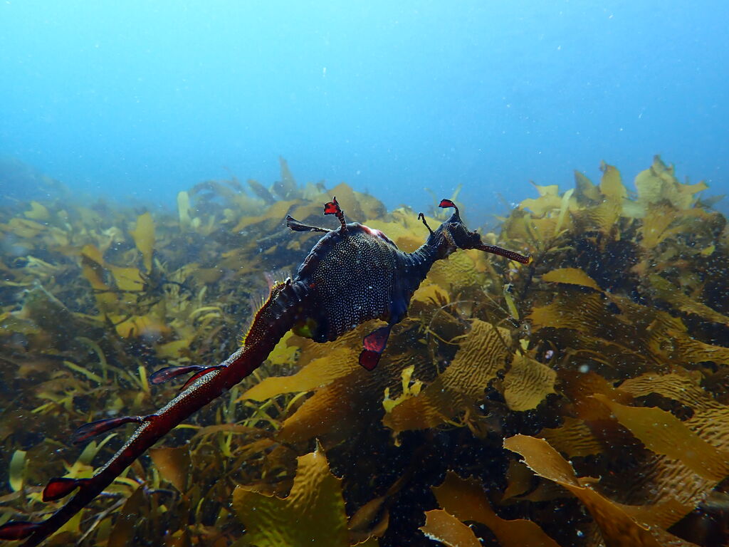 fdd5b70a-b8a0-4328-a29c-4866cf278ed1