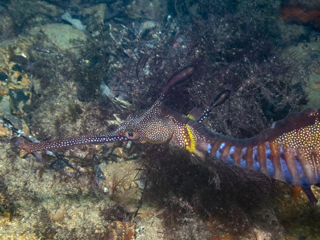 2759819a-0675-402a-b504-4bcbd540381d