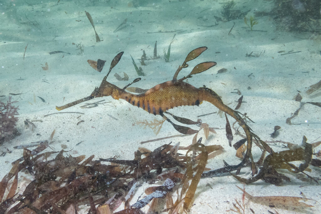 68a25676-6e63-4247-81df-1dac6dd7a563