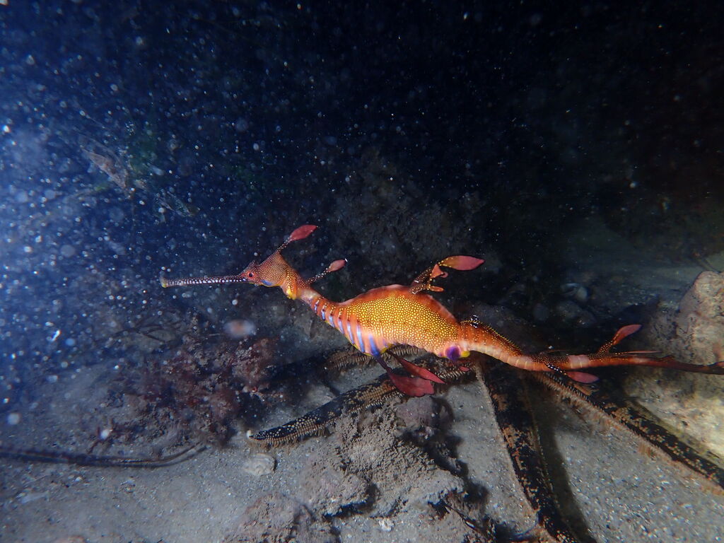 16761682-6a89-45d1-ac86-2e9999d88919