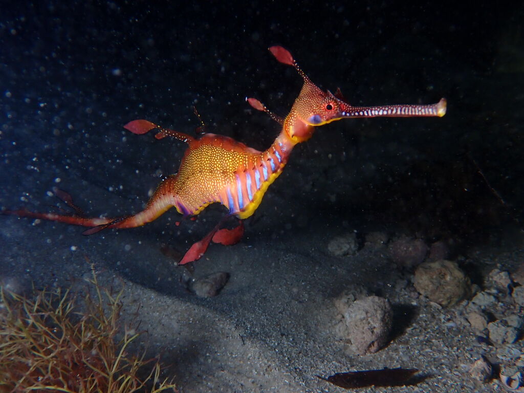 16761682-6a89-45d1-ac86-2e9999d88919