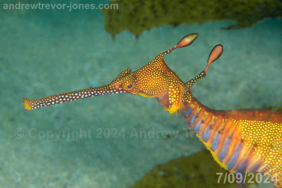 69c84b32-9792-45e3-85d8-979987cb27c5