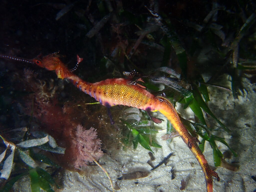 98c7f49c-2f38-4395-9b00-f4df09134cea