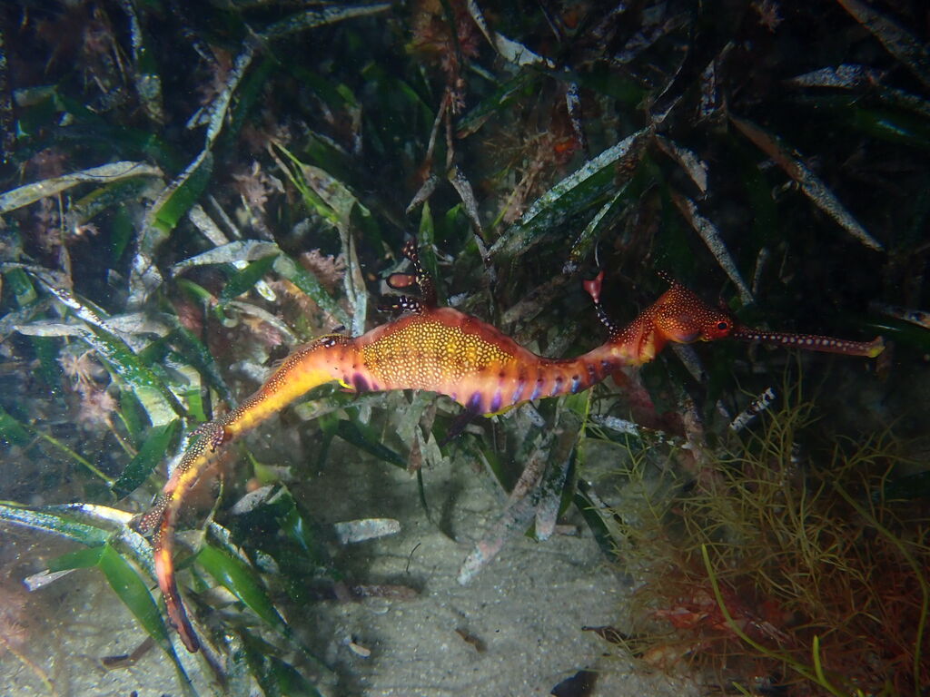 98c7f49c-2f38-4395-9b00-f4df09134cea