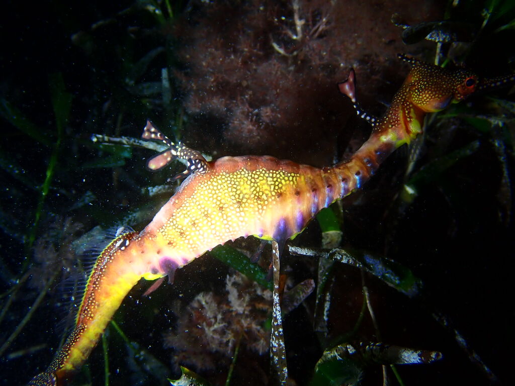 98c7f49c-2f38-4395-9b00-f4df09134cea