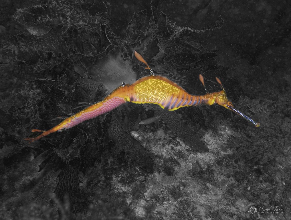 e227a13e-a557-46a9-b093-f816793dab4f