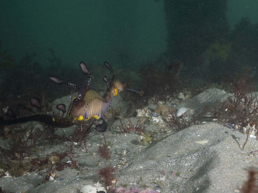 9f6c969a-97aa-425e-a7b1-f475dcdd3856