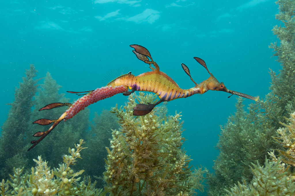 b9e245a5-6f76-47cb-ba8e-4c2882d98669