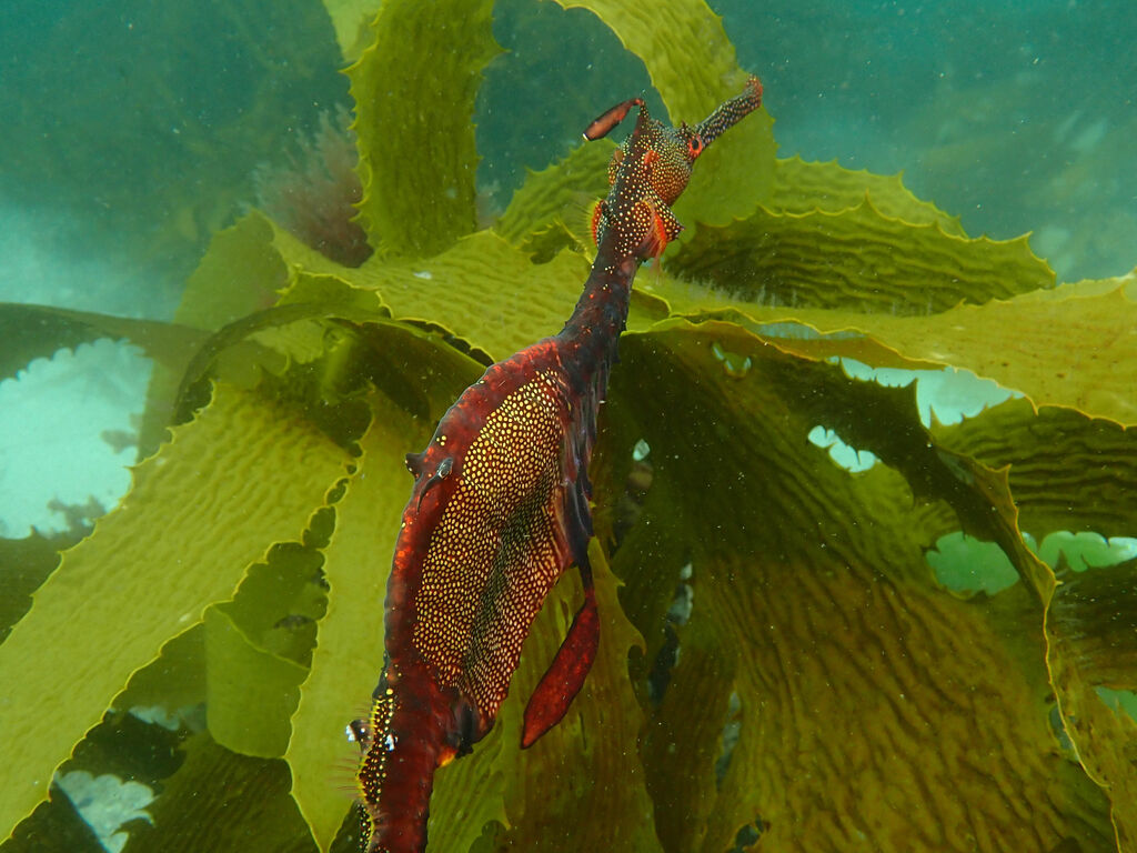 e8d7c25d-79a0-4197-9a11-5b07e195b66c