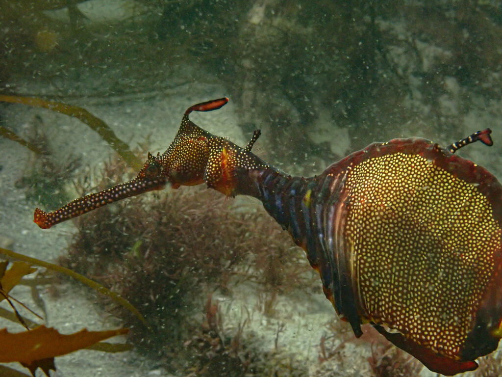 e8d7c25d-79a0-4197-9a11-5b07e195b66c