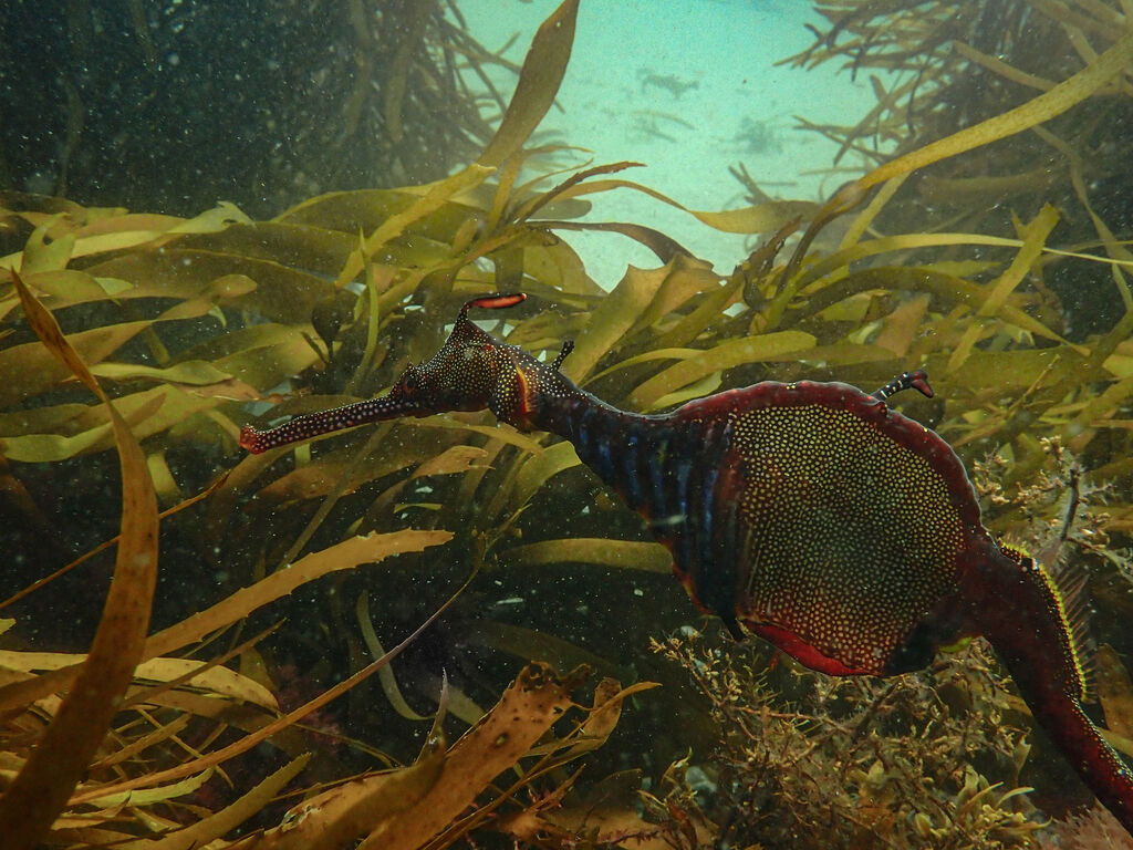 e8d7c25d-79a0-4197-9a11-5b07e195b66c