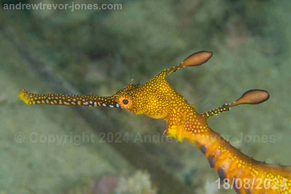 3d62e8ae-88b8-435f-b14d-5bc86b3262c6