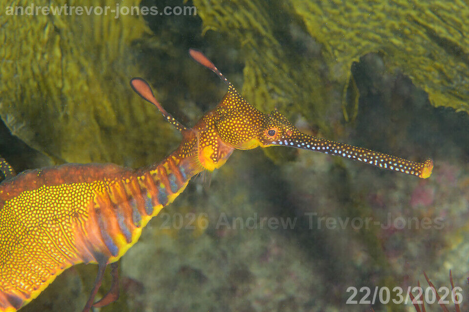 c3ab5a79-aba3-4364-9a3b-d76f767f02c9