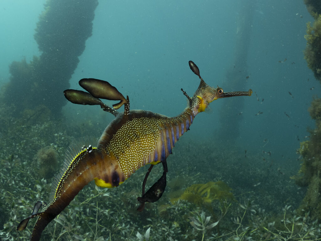 908ed035-d84f-4941-824e-bd9218658880