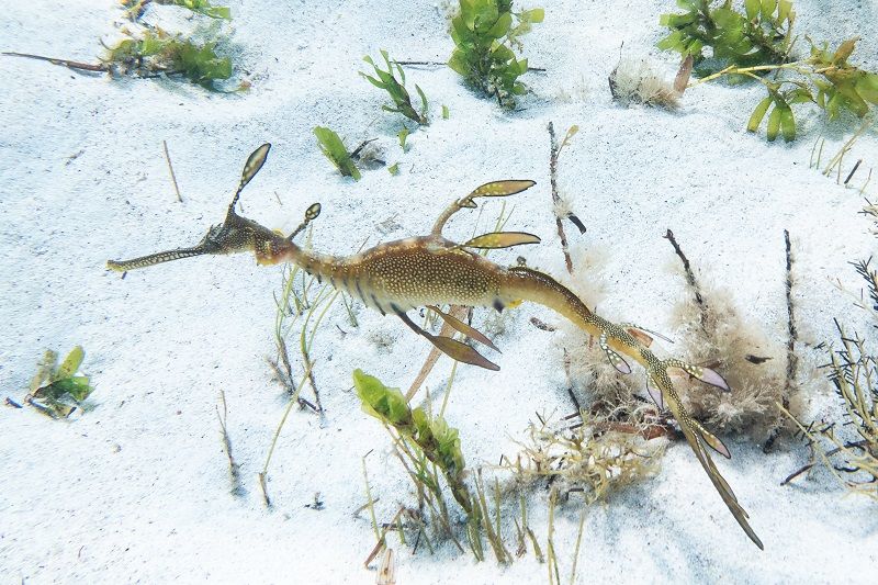 a0cc03f3-d915-44dd-83b9-dfb3e5eaed15