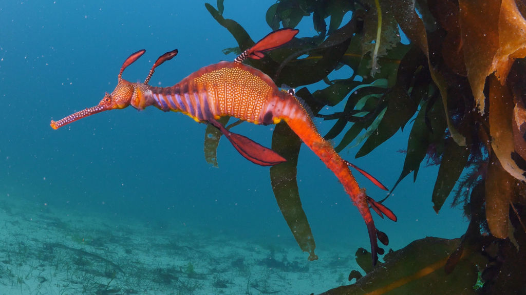 5ec4c215-9cc0-45b1-b918-81d101655a1c