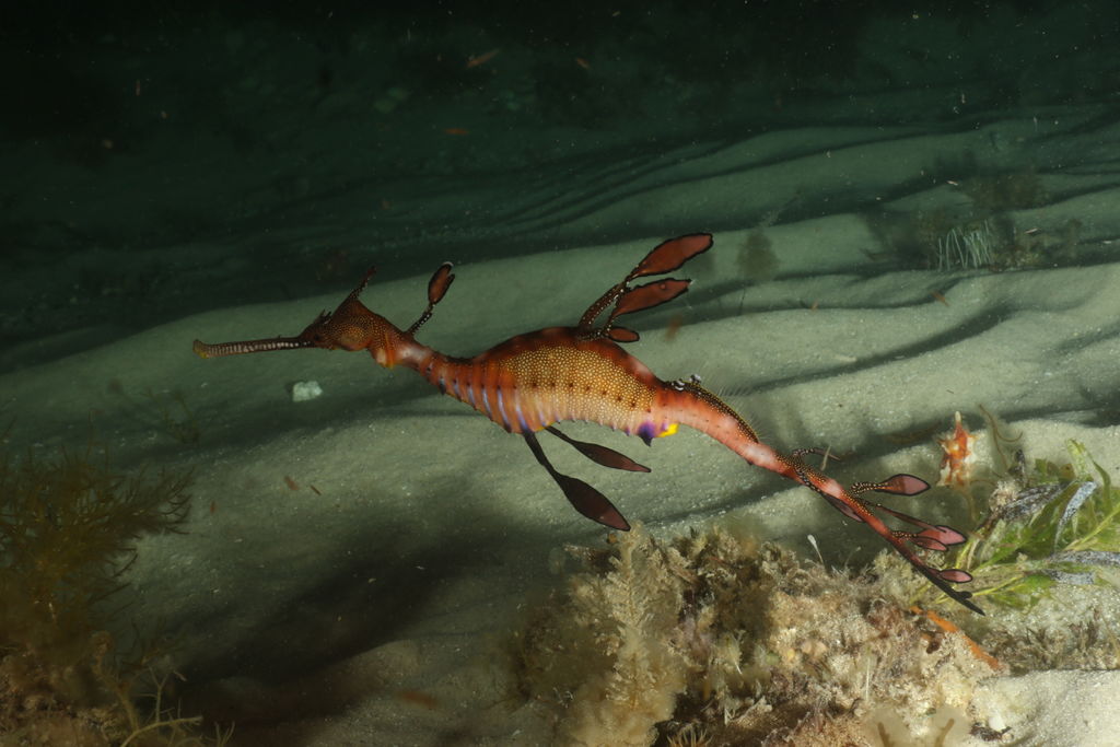 958c6928-19d9-4805-84e7-5985b81d1f7d