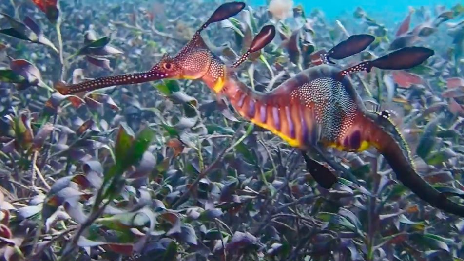 7ce0a172-b157-49f9-878b-dd13b84a3be9