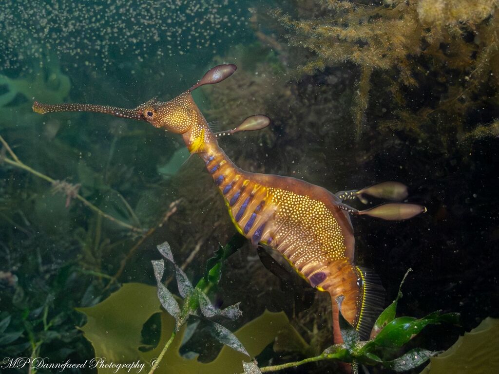 f4ac1124-b06e-4380-99c9-dc9ef7773b77