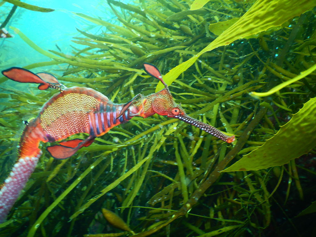 6b7ae8d4-93b1-455b-8142-750d85469505