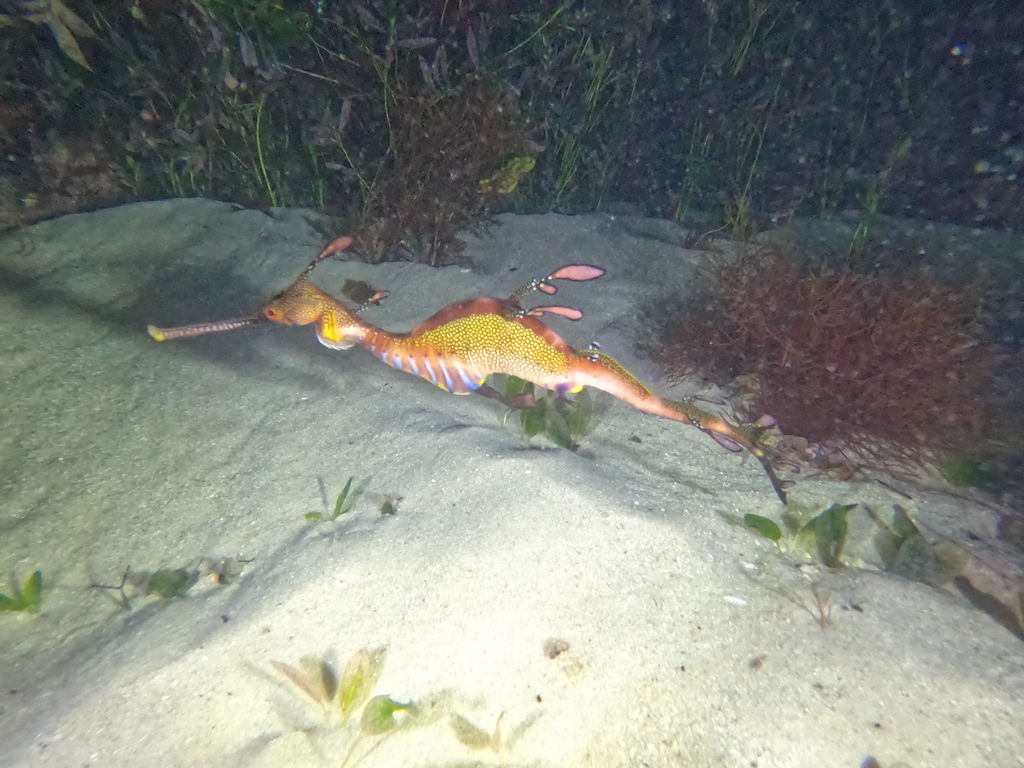 ddcd9603-6e12-4352-af1e-023cda7e0515