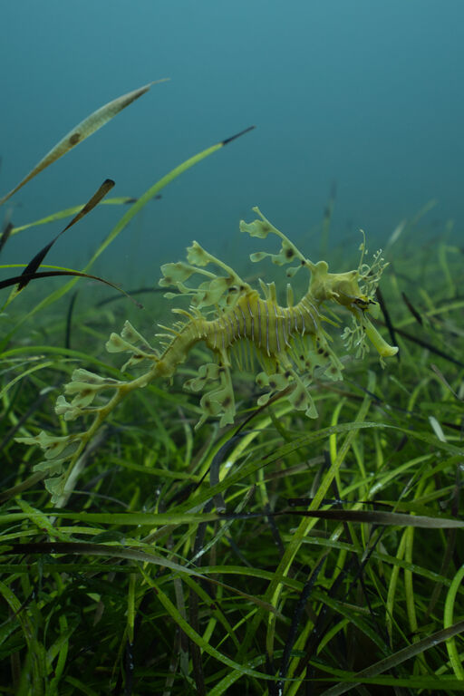 cd67c9fd-ecd1-4609-8bde-c7e129e8fb3e