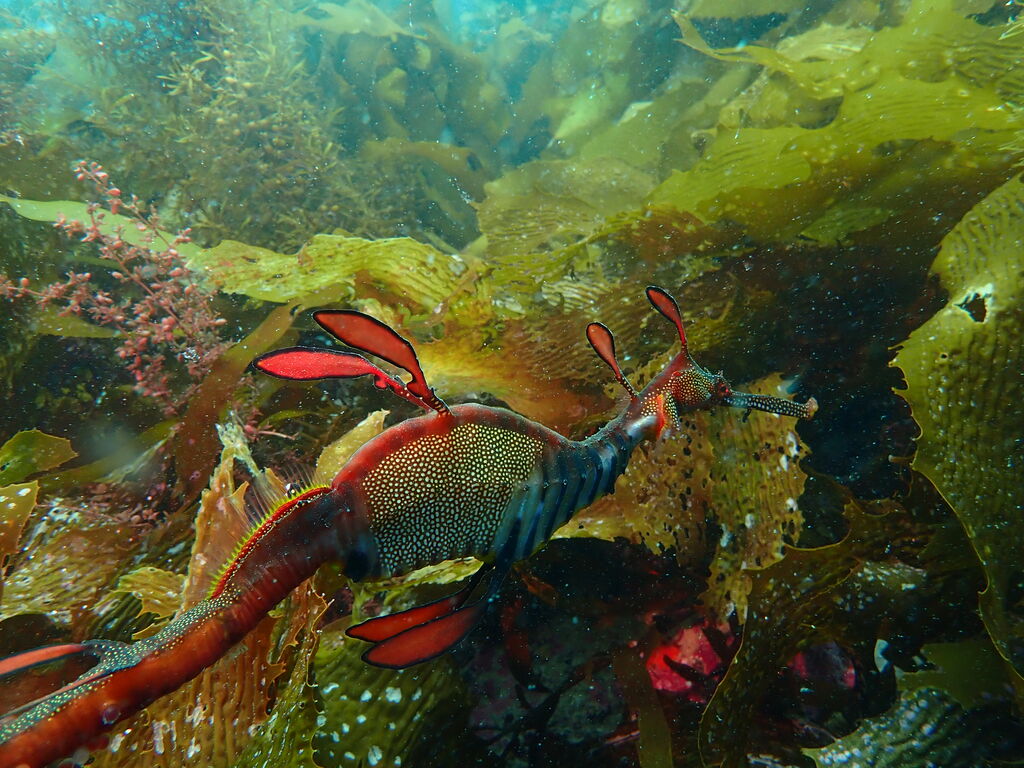 7457f1e8-c458-4125-b5f6-0eab5f8f7e28