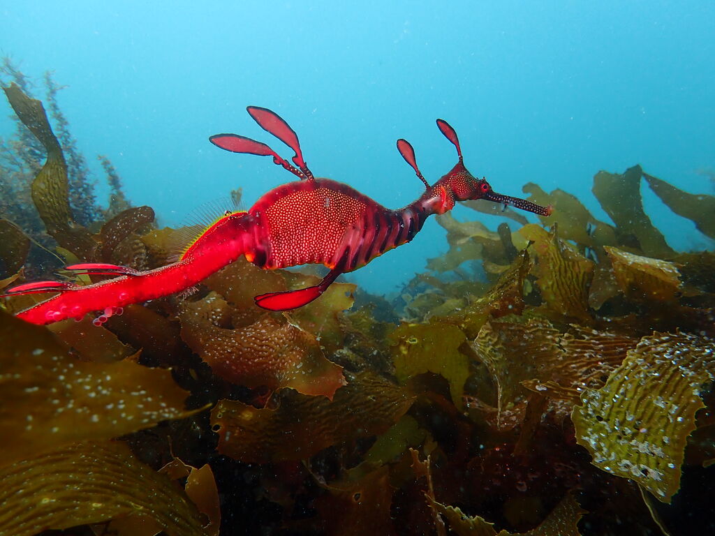 7457f1e8-c458-4125-b5f6-0eab5f8f7e28