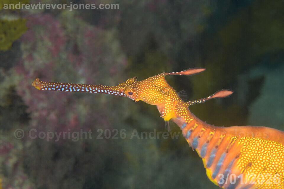 179c6a03-1670-4fa0-9334-8295a5a7e807