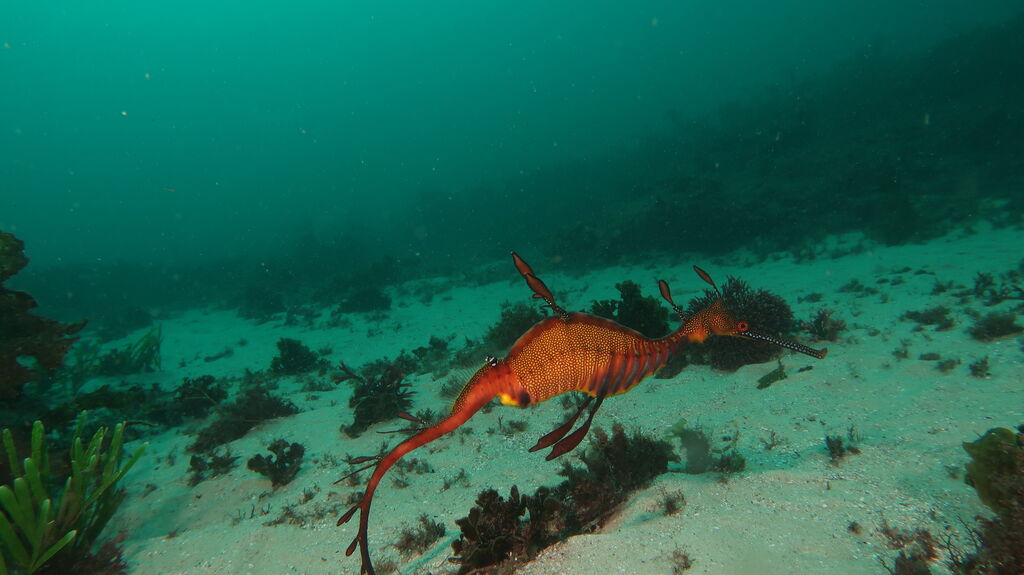 41b11cf9-6e34-4614-ab2f-3e6fc09065a3