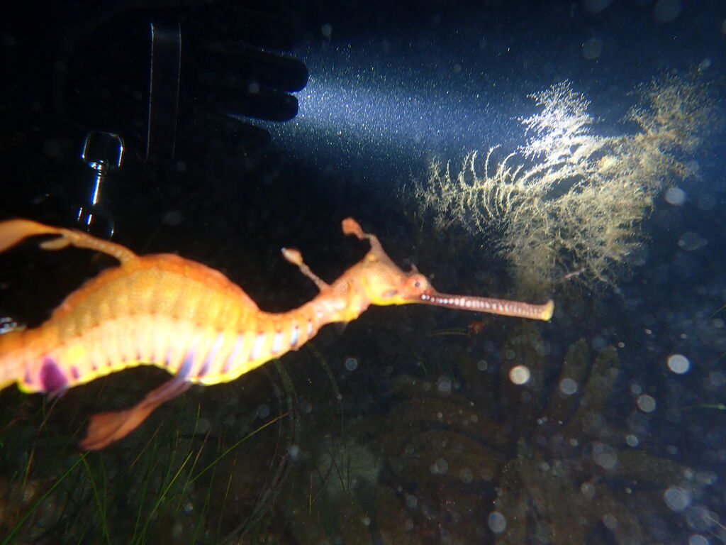 82951df7-d16e-4ee3-b287-06a955724fe7